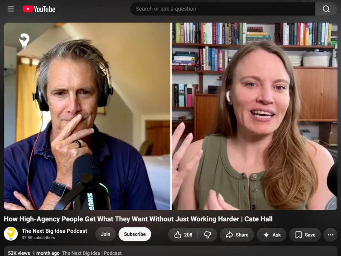 The Next Big Idea Podcast, typical views over recent episodes